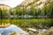 Beautiful Lizard lake White river national park Colorado