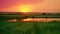 Beautiful local farm with sunset in the countryside field. Generative AI