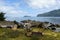 A beautiful location for a fire surrounded with benches, in a remote location with the ocean and shore in the background