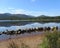 Beautiful Loch Morlich, Scotland