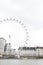 The beautiful London Eye