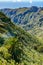 Beautiful Lone Palm In Green Slopes Falling Over The Valley In The Mist Of The Summit In La Gomera. April 15, 2019. La Gomera,