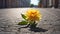 beautiful lonely flower grows from asphalt concept renewal energy symbol