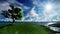 Beautiful lonely tree on solitary island surrounded by lake