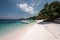 beautiful lonely tropical beach, much green plants, palms, blue sea, blue sky, white clouds, white sand, paper cut style