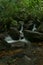 Beautiful long exposure of green unknown small waterfall in Sri Lanka