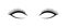 Beautiful long eyelashes vector icon for makeup. False lashes illustration