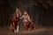 Beautiful long-haired blonde young woman in English style with red draft horse, Irish setter dog