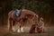 Beautiful long-haired blonde young woman in English style with red draft horse, Irish setter dog