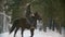 Beautiful longhaired woman riding a black horse through the deep snow in the forest, independent stallion prancing
