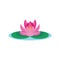 Beautiful lotus flower vector on white background.