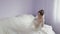 Beautiful and lovely bride in wedding dress. Wedding morning. Pretty and well-groomed woman. Slow motion