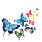 Beautiful lovely bright summer sophisticated magnificent colorful group of tropical butterflies pattern