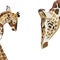 Beautiful lovely cute wonderful multicolor summer illustration of a baby giraffe with his giraffe mom vector