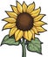 Beautiful and lovely sunflower spring summer art