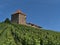 Beautiful low angle view of historic medieval castle Burg Wildeck in Baden-WÃ¼rttemberg, Germany, with vineyard in front.