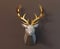 Beautiful low poly deer trophy golden horns in full face, brown background