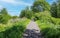 Beautiful lower rhine landscape with cycle and hiking path, trees, green meadow grass, blue springtime sky - Viersen, Germany