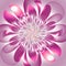 Beautiful lush fractal flower. Artwork for creative design