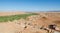 Beautiful lush green oasis with buildings and mountains at Todra Gorge, Morocco, North Africa