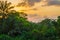 Beautiful lush green West African rain forest during amazing sunset, Liberia, West Africa