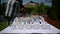 Beautiful luxury empty crystal glasses stand on the table against the background of the sun rays