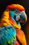 Beautiful macaw typically Brazilian bird with bright and lively colors
