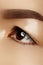 Beautiful macro of female eye with classic clean makeup. Perfect shape eyebrows. Cosmetics and make-up. Care about eyes