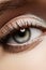 Beautiful macro female eye with classic clean makeup. Perfect shape eyebrows, silver eyeshadows. Cosmetics and make-up