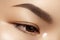 Beautiful macro of female eye with clean makeup. Perfect shape eyebrows. Cosmetics and make-up. Care about eyes