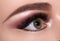 Beautiful Macro Female Eye with Extreme Long Eyelashes and Celebrate Evening Makeup. Perfect Shape Brow, Fashion Lashes