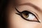 Beautiful Macro of Female Eye with Fashion Black Eyeliner Makeup. Perfect graphic Liner shape. Cosmetics and make-up