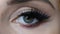Beautiful macro shot of female eye with extreme long eyelashes. Perfect visage, make-up and long lashes.
