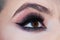 Beautiful macro shot of female eye with extreme long eyelashes and smoky makeup. Closeup macro shot of fashion eyes