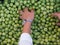 Beautiful macro of a woman with red fingernails selecting green raw olives