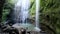 Beautiful Madakaripura waterfall in tropical rainforest in national park at East Java, Indonesia