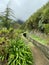 Beautiful Madeira landscape