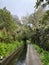 Beautiful Madeira landscape