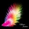 Beautiful magic feather on black background. Design element, illustration