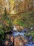 Beautiful magical swiss autumn stream