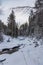 Beautiful magical winter forest on Christmas Eve, Altai, Russia