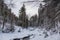 Beautiful magical winter forest on Christmas Eve, Altai, Russia