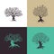 Beautiful magnificent olive tree silhouette isolated on color background.