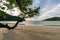 Beautiful Mai ngam beach in Koh Surin national park, the famous free driving spot in Pang Nga, Thailand