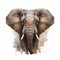 Beautiful majestic elephant on white background, artistic drawing. Generative Ai