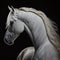 Beautiful majestic horse image, ultra realistic, Generative Ai