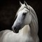 Beautiful majestic horse image, ultra realistic, Generative Ai