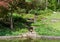 Beautiful man-made stream at a botanical garden in Durham, North Carolina