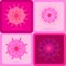 Beautiful Mandala, banner, stars burst, logo, icons shape, romance flower plant abstract background vector illustration flat desig