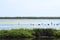 Beautiful Manga del Mar Menor wetlands